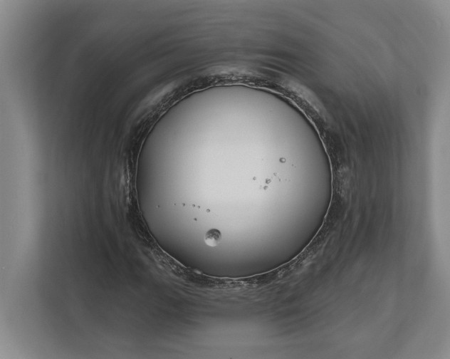 X0000112361111200908271247