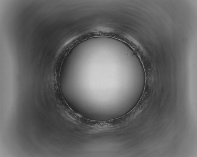 X0000112361112200908271247