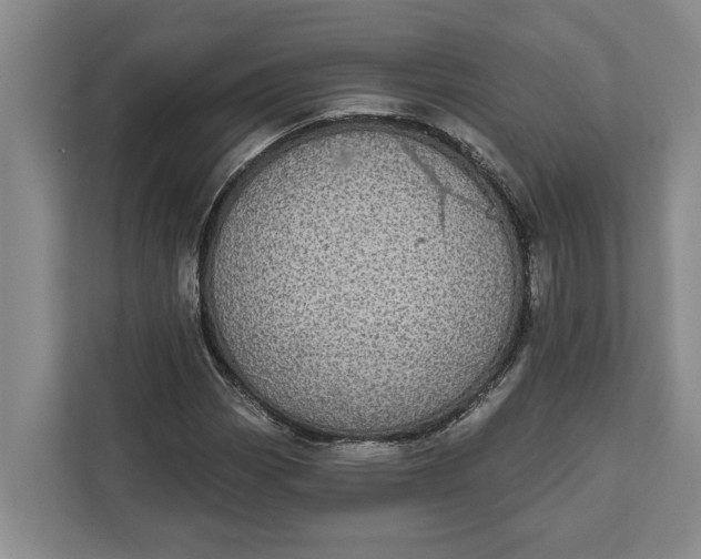 X0000112361113200908271247