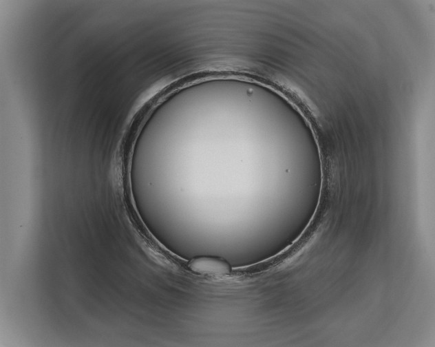 X0000112361114200908271247