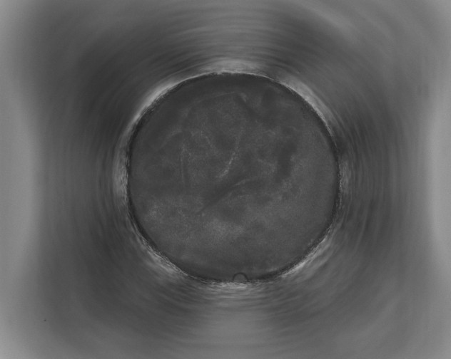 X0000112361115200908271247