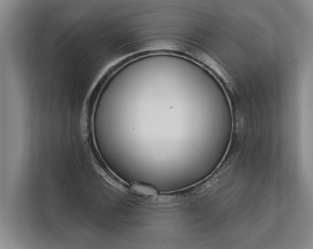 X0000112361116200908271248