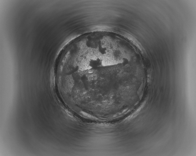 X0000112361117200908271248