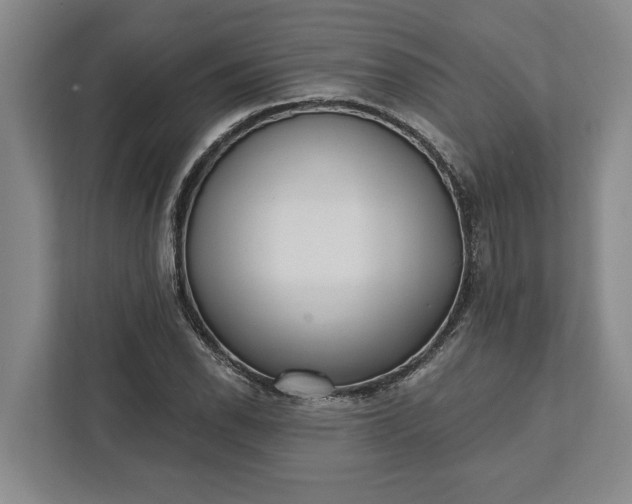 X0000112361118200908271248