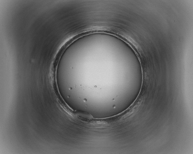 X0000112361119200908271248