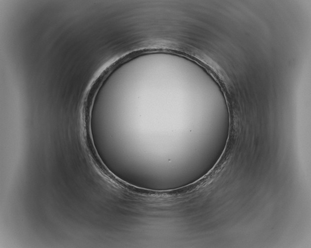 X0000112361120200908271248