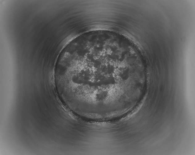 X0000112361121200908271248