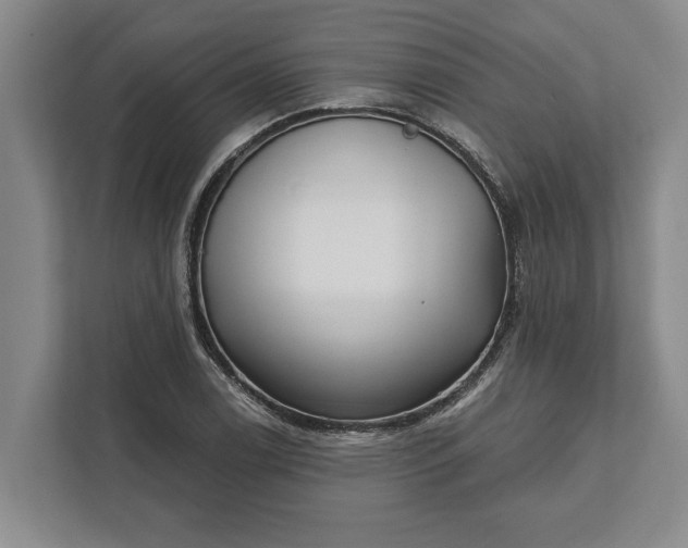 X0000112361122200908271248