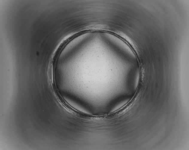 X0000112361123200908271248