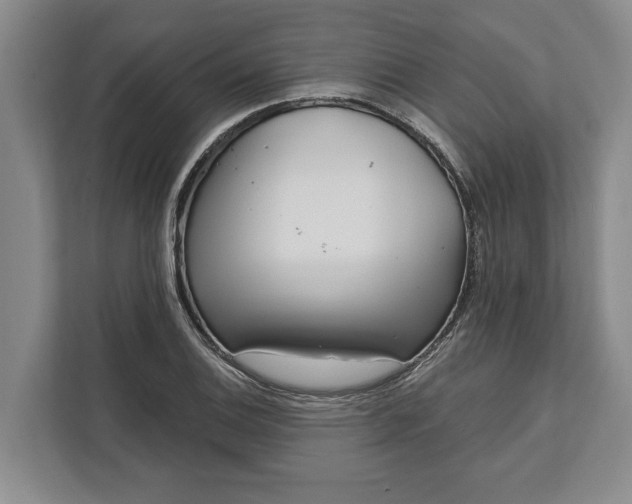 X0000112361124200908271248