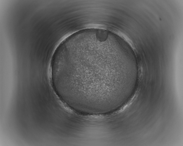 X0000112361125200908271248