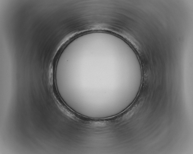 X0000112361126200908271248