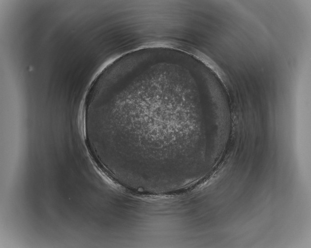 X0000112361127200908271248