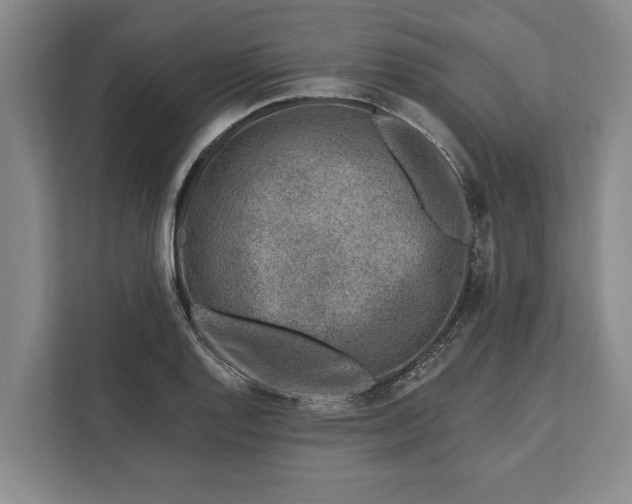 X0000112361128200908271248