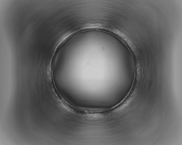 X0000112361129200908271248