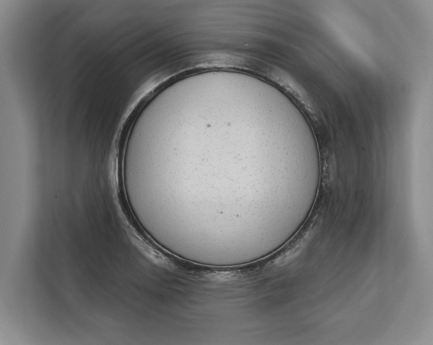 X0000112361130200908271248