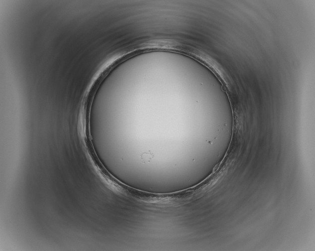 X0000112361131200908271248