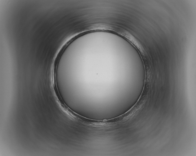 X0000112361132200908271248