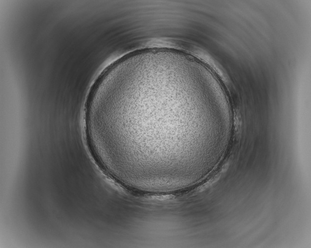 X0000112361133200908271248