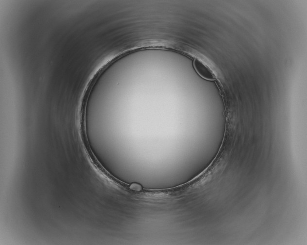 X0000112361135200908271248