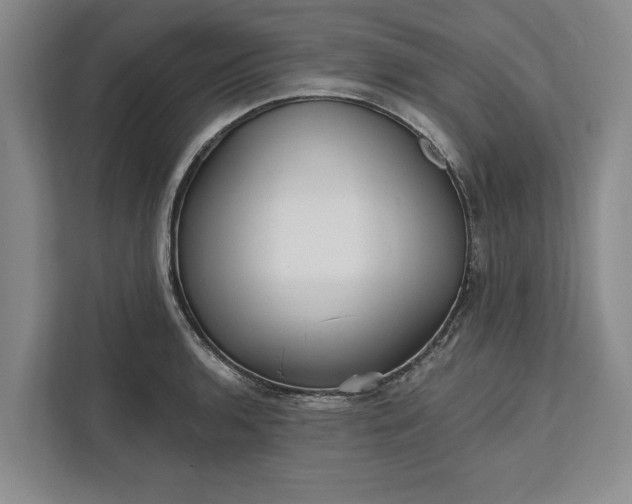 X0000112361136200908271248