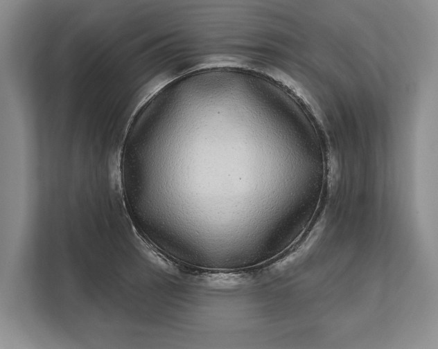 X0000112361137200908271248