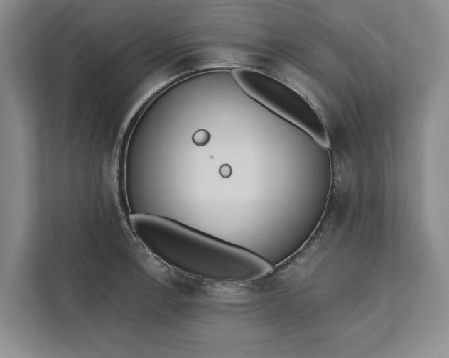 X0000112361138200908271248