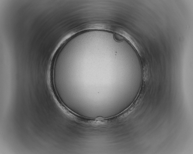 X0000112361139200908271248