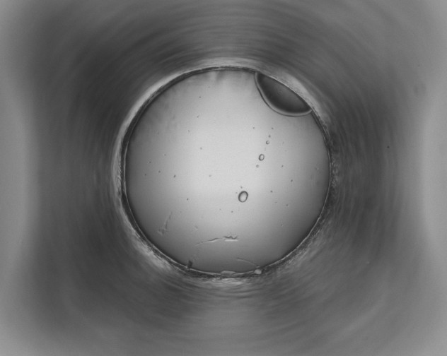 X0000112361140200908271248