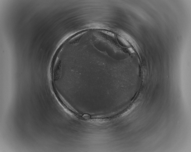 X0000112361141200908271248