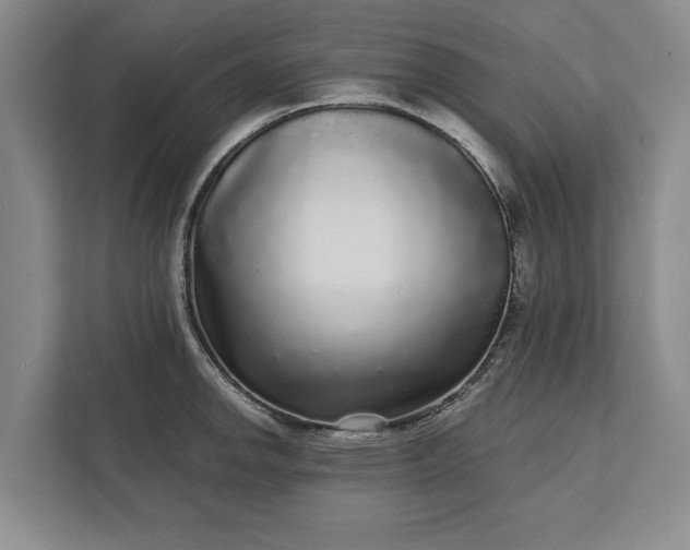 X0000112361142200908271248