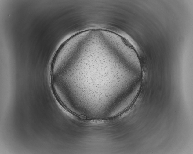 X0000112361143200908271248