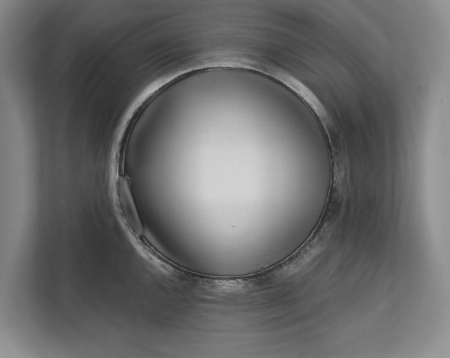 X0000112361144200908271248