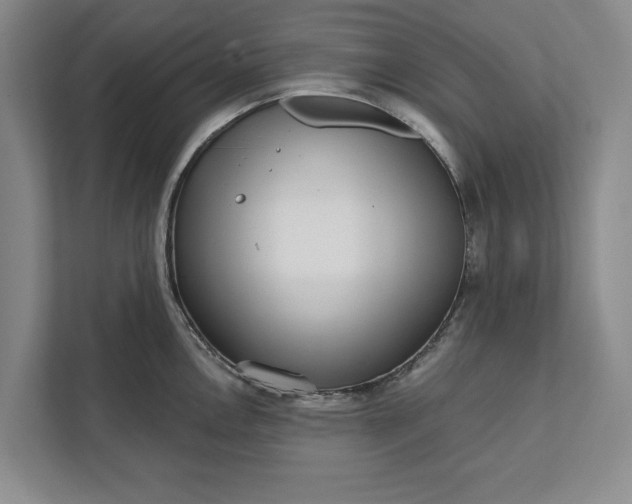 X0000112361146200908271248