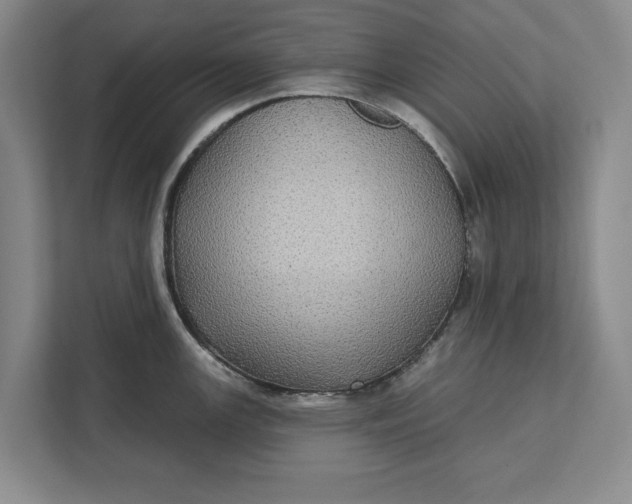 X0000112361147200908271248