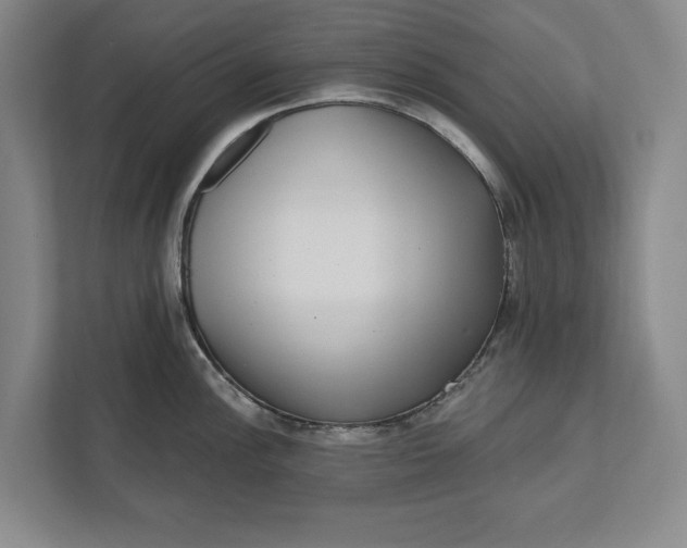 X0000112361148200908271248