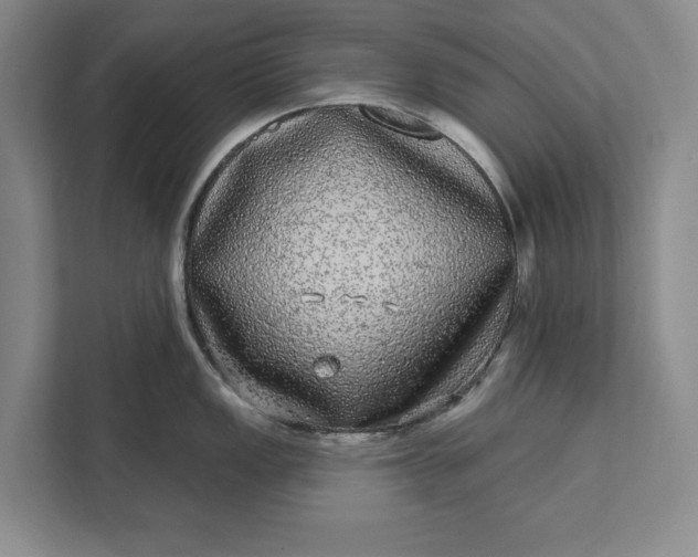 X0000112361149200908271248