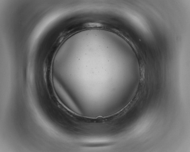 X0000112361151200908271248