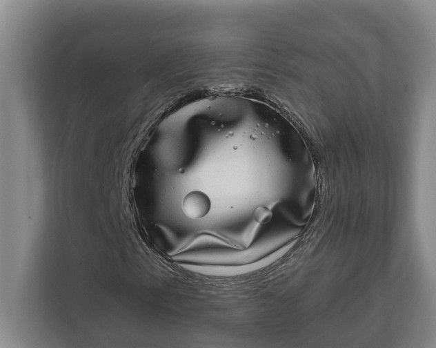 X0000112361153200908271247