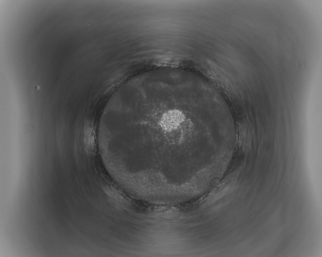 X0000112361154200908271247