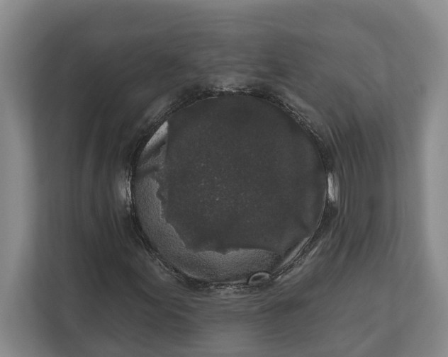 X0000112361155200908271247