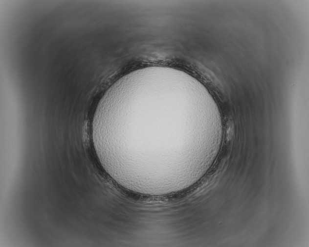 X0000112361156200908271247