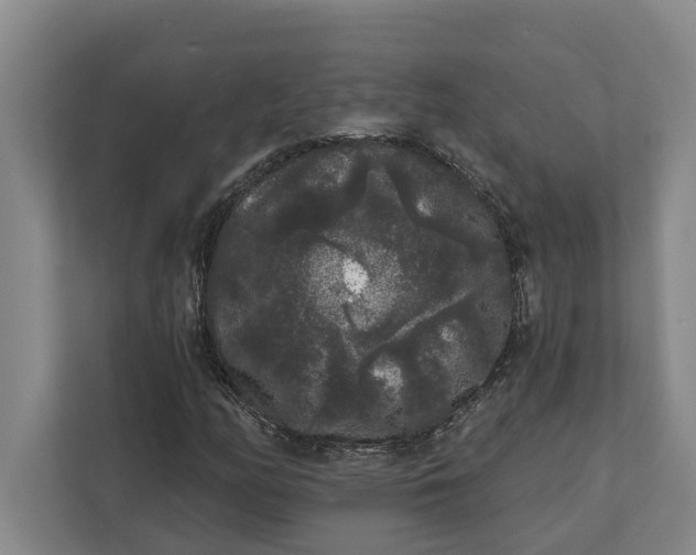 X0000112361158200908271247