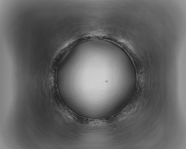 X0000112361159200908271247