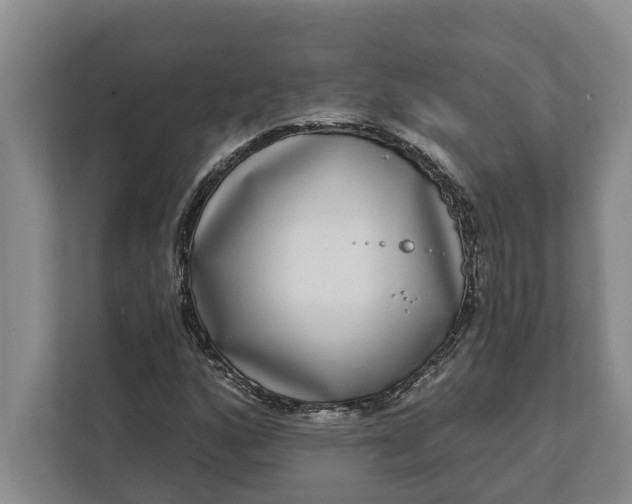 X0000112361160200908271247