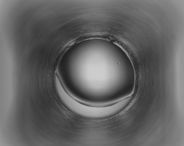 X0000112361161200908271247