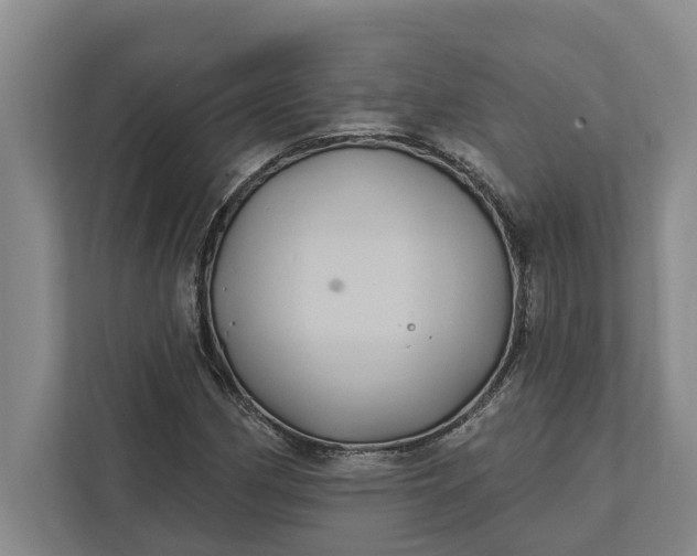 X0000112361162200908271247