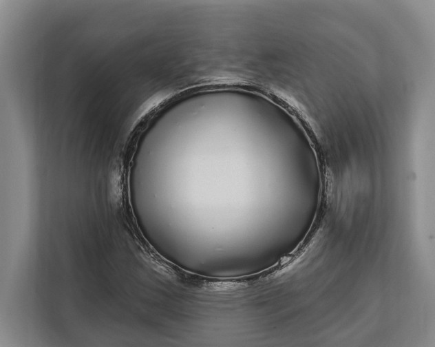 X0000112361163200908271247