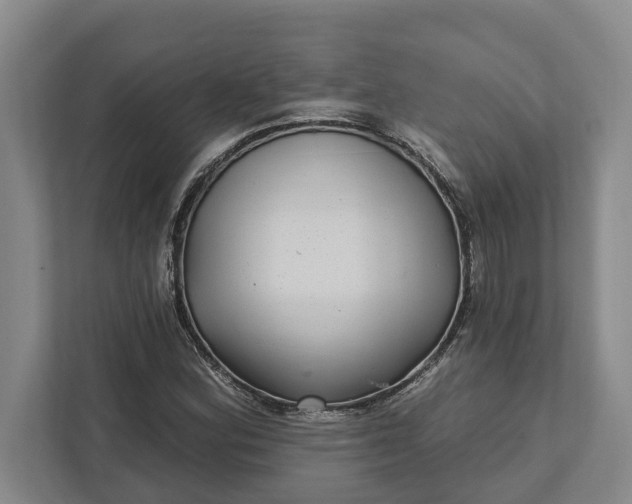 X0000112361164200908271247