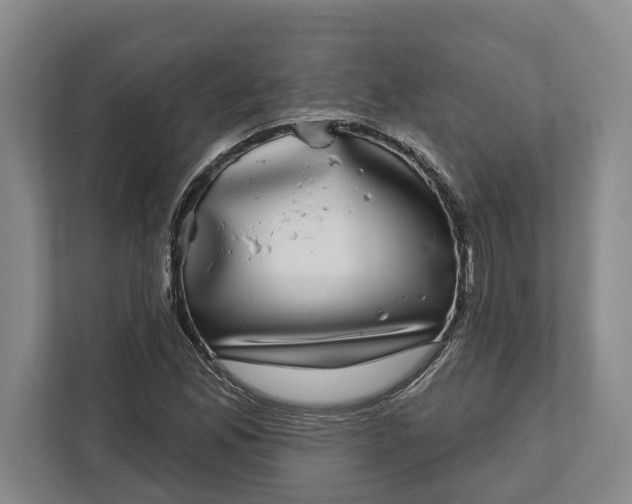 X0000112361165200908271247